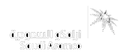 Saudi Aramco